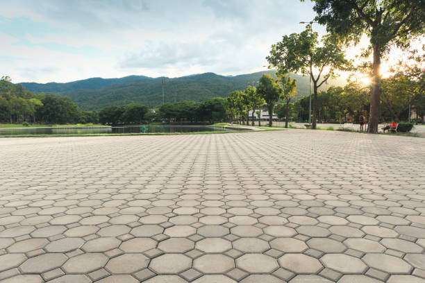 Best Decorative Driveway Pavers  in Greenwood, MO